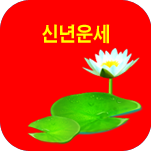 �ų� ����Ǯ��